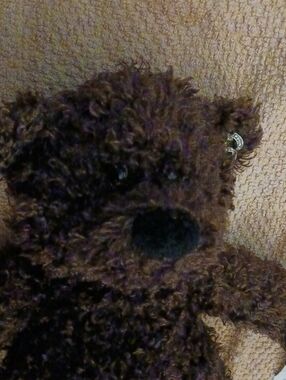 Gund Brown Bear- Luv Me Bear #6449.